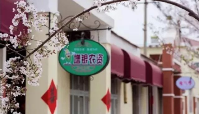 鲁信创投最新动态