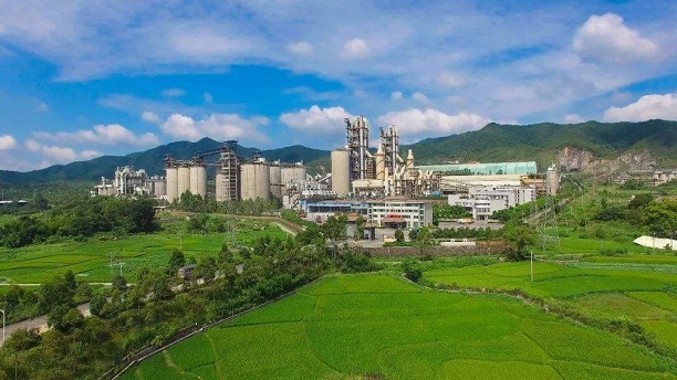 塔牌集团最新动态更新，揭秘最新消息