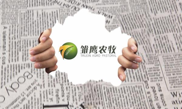 农牧行业发展新篇章