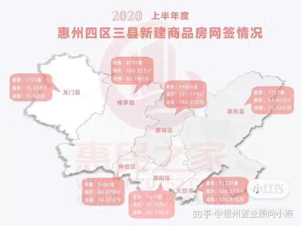 最新动态更新解析