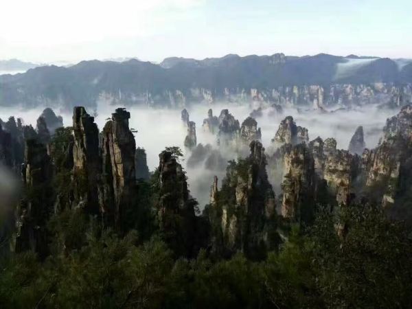 张家界最新天气