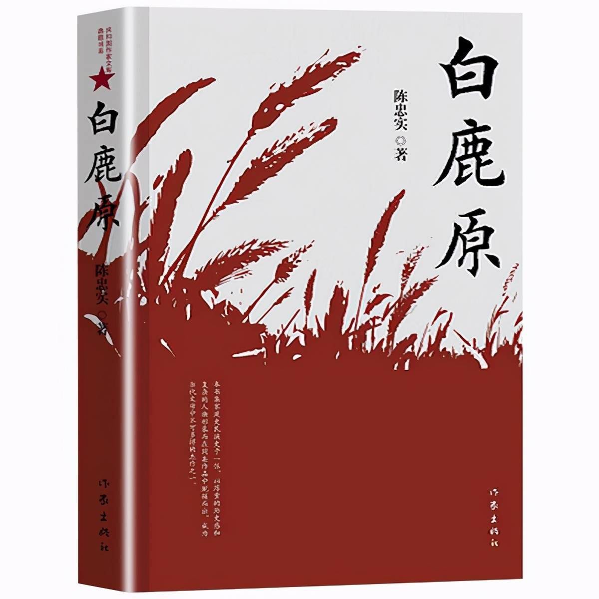 陈忠实传世之作的影响与启示