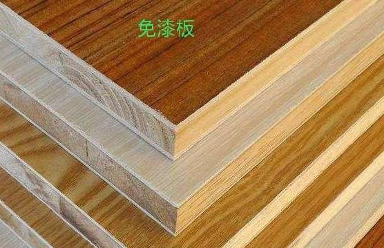 自然与时尚完美交融
