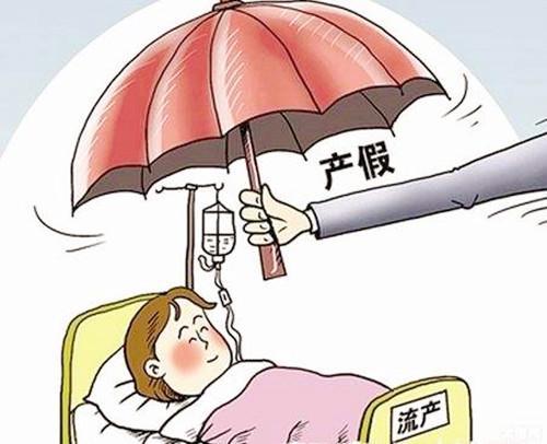 制度更新与观点阐述