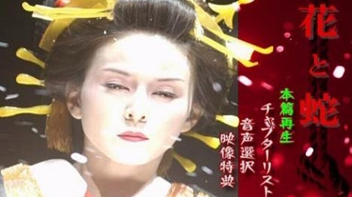 新解读与最新探讨
