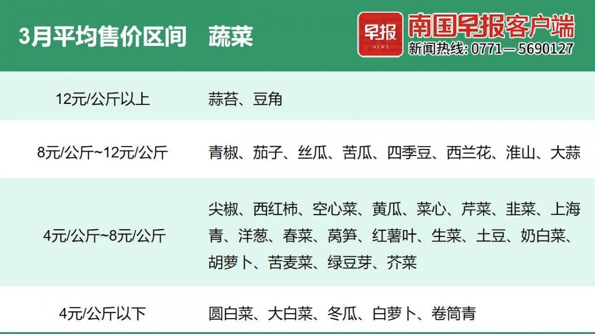 分析报告