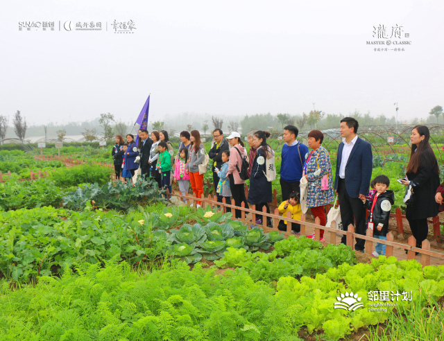 岗埠农场最新动态