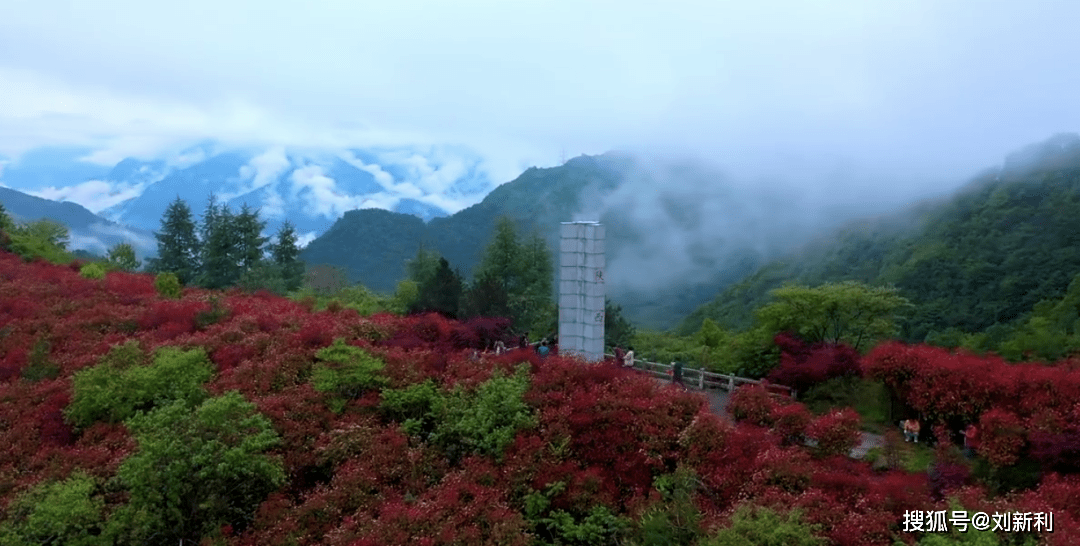 盂县贴吧最新消息,盂县贴吧最新消息，一场自然美景的探索之旅，心灵的洗涤与重生