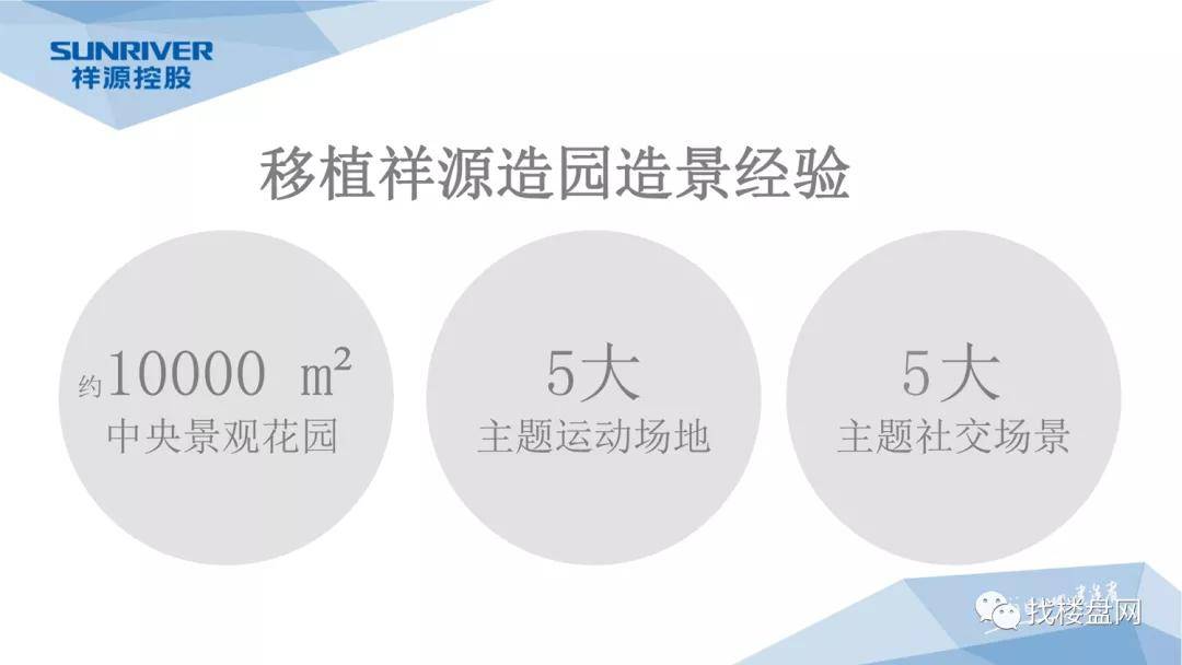 深度解读与情感倾向探究