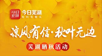 丰县司机最新招聘启事，携手共创美好未来！