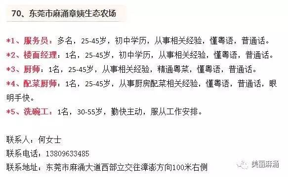 麻章最新招工信息，小巷深处的职业机遇