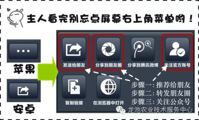 多晶硅行情入门指南