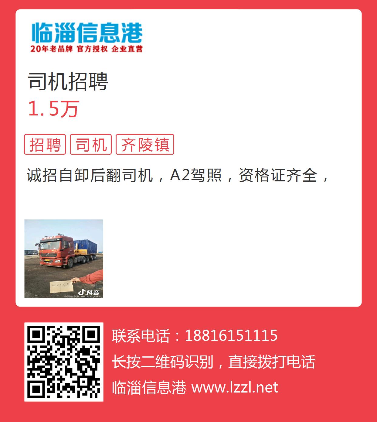 阳谷最新司机招聘信息🚚