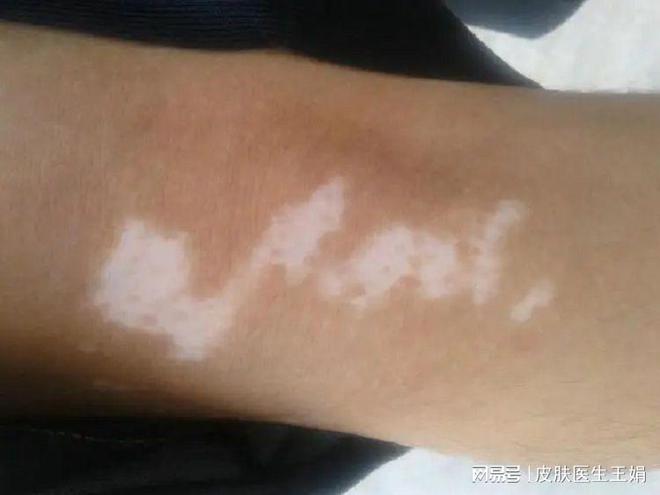 巷弄深处的秘密小店
