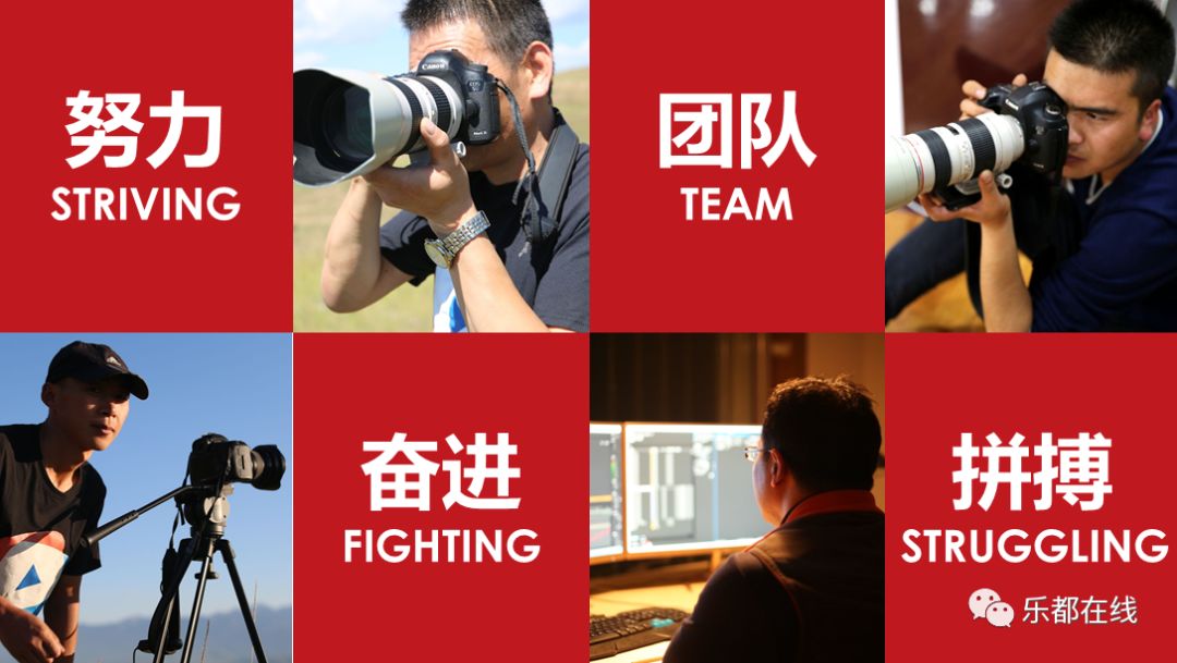 乐都最新招聘信息
