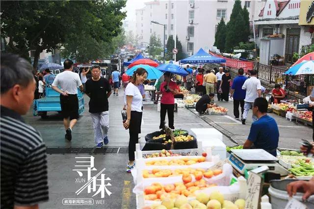 九钢钢材最新报价及小巷深处的独特魅力