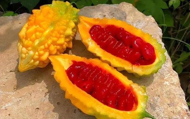 最新品种水果大盘点