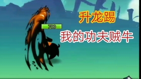 功夫的魅力与演变