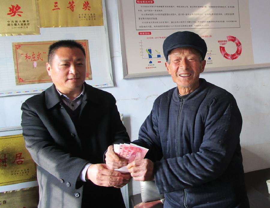 购买肉兔的详细步骤与价格行情分析