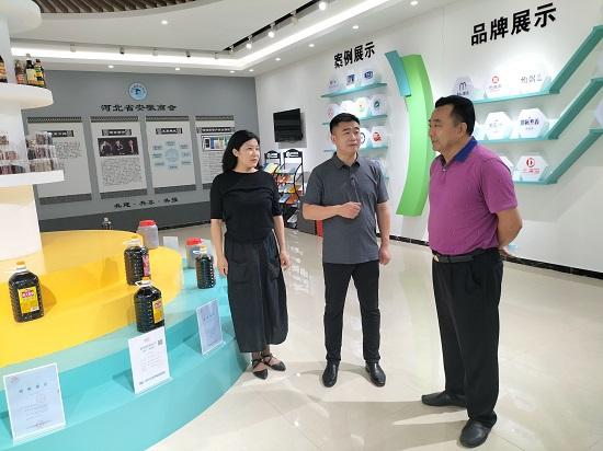 多方视角深度探讨与解析