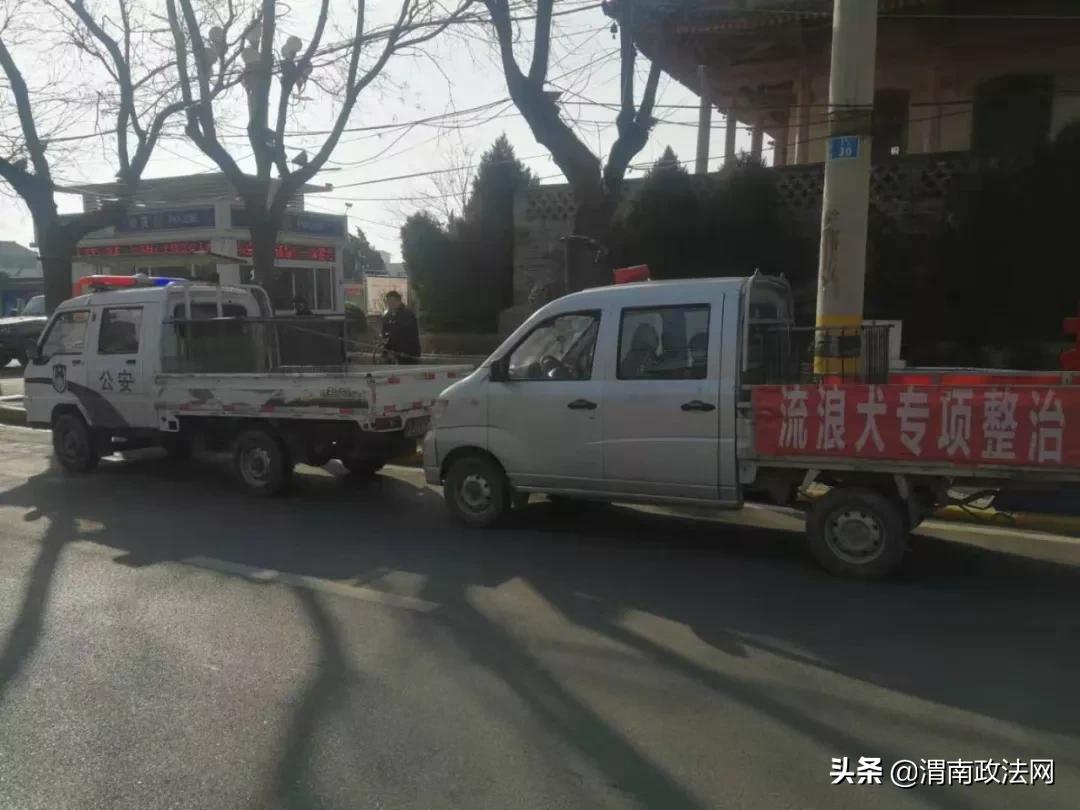 战胜挑战的行动