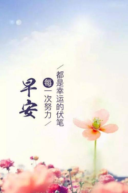 早安均科技产品介绍