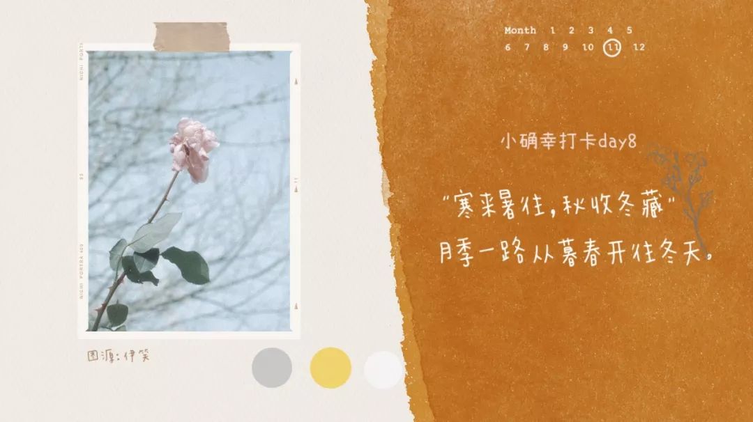 小确幸与温情故事