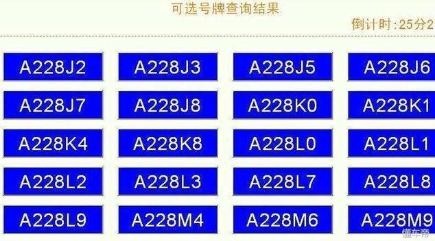 拍牌照获取秘籍