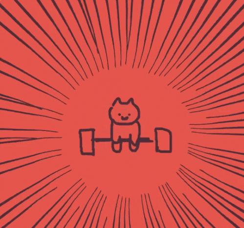 猫咪最新时尚潮流