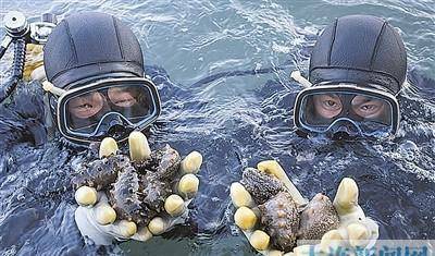 海洋世界（或海洋探索）
