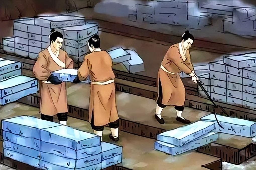 深度解析与观点综述