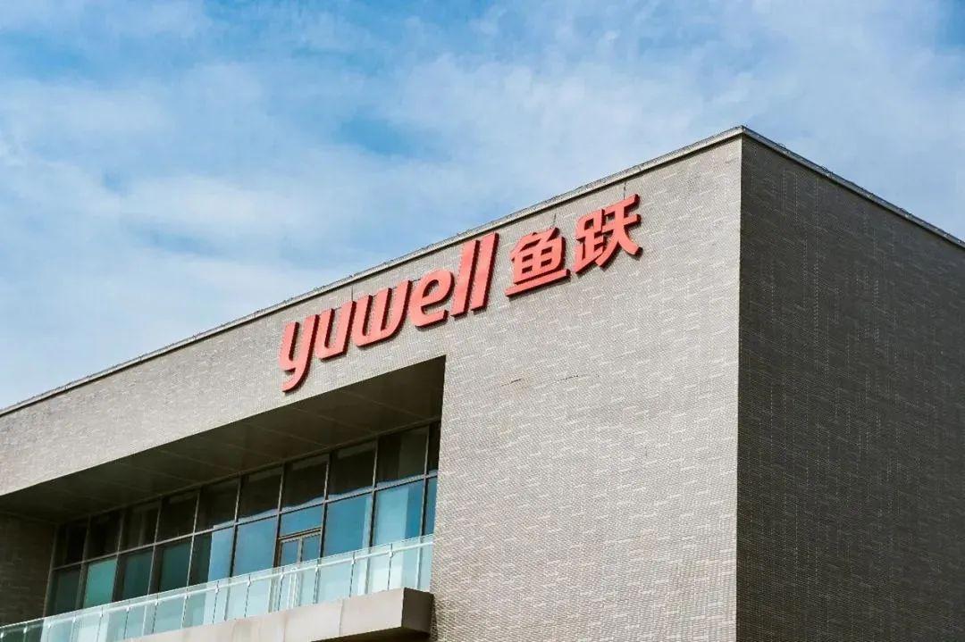 最新动态与坚实步伐