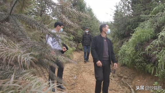 美食传承与商业机遇