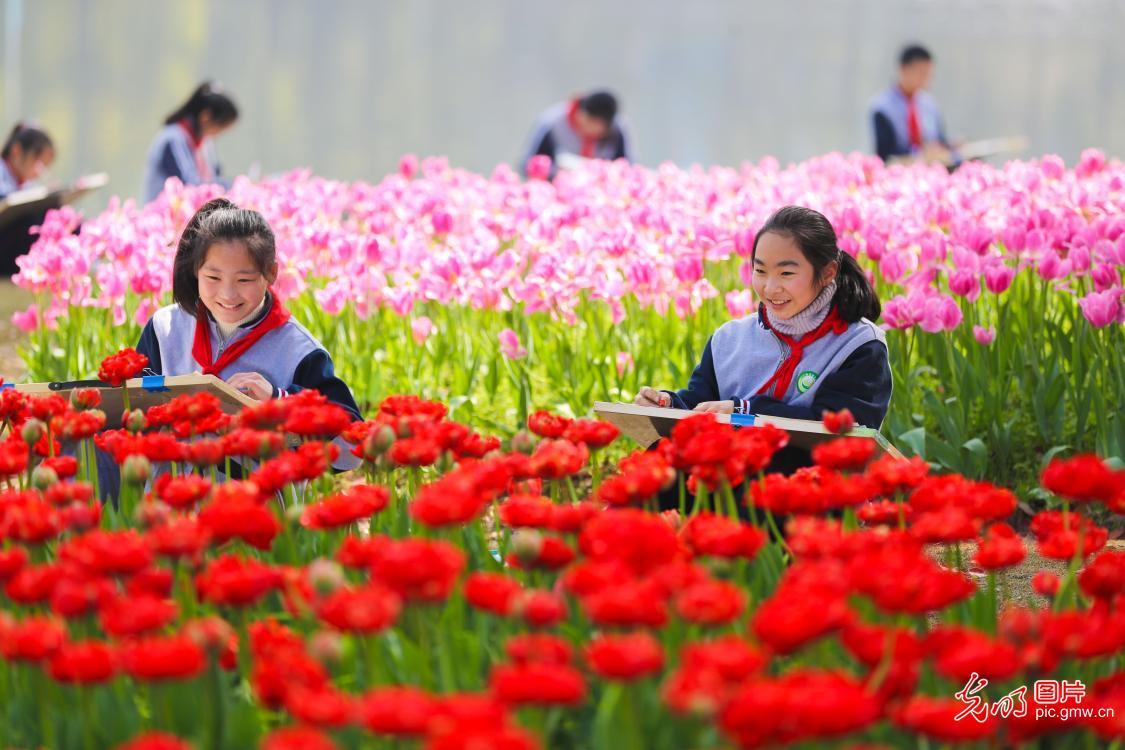 盛世春天/繁荣时代