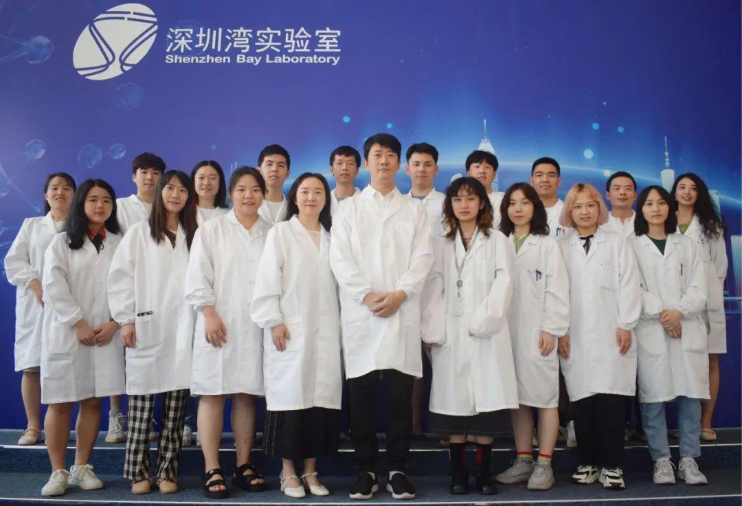拼图游戏体验