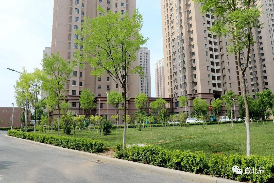 友情与家的温馨汇聚