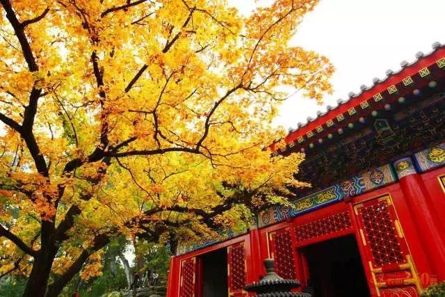 美景与内心成长交融之旅