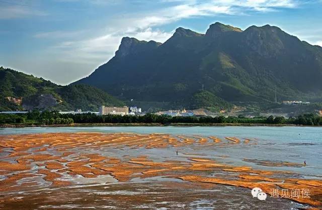 闽侯最新士拍事件，背景、发展与影响概述