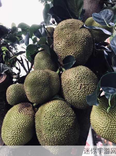 甜蜜世界