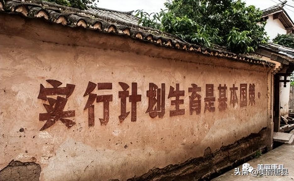 解读与观点阐述