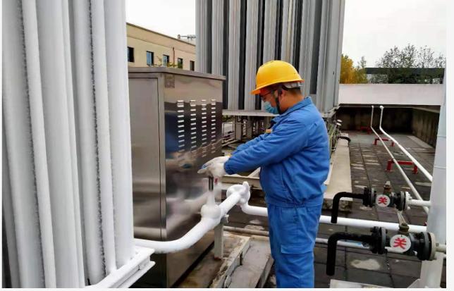 茜草市场价格的深度分析与观点阐述