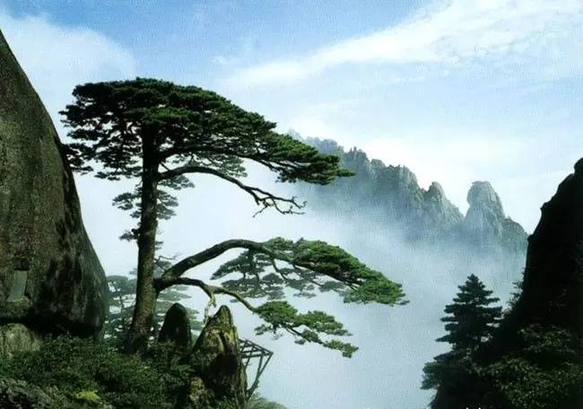 云端之上的温馨旅程