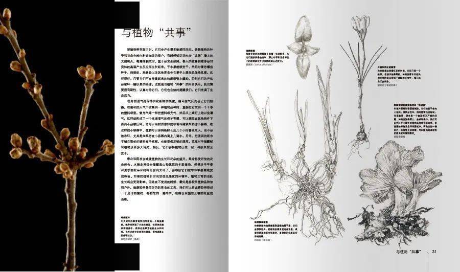 自然美景鼓舞人心之旅