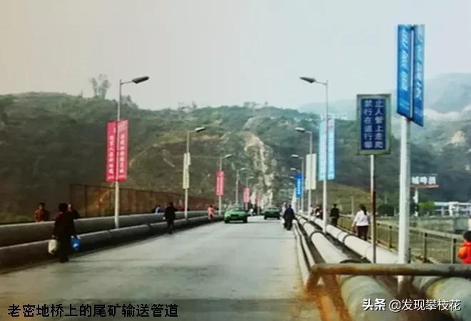 市场预测与最新动态