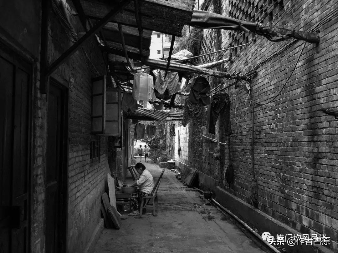 乐山房价动态与小巷深处的特色小店，房产魅力探索之旅