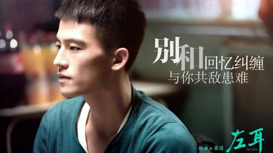 真正男子汉演员阵容揭秘，日常趣事与情感纽带探究