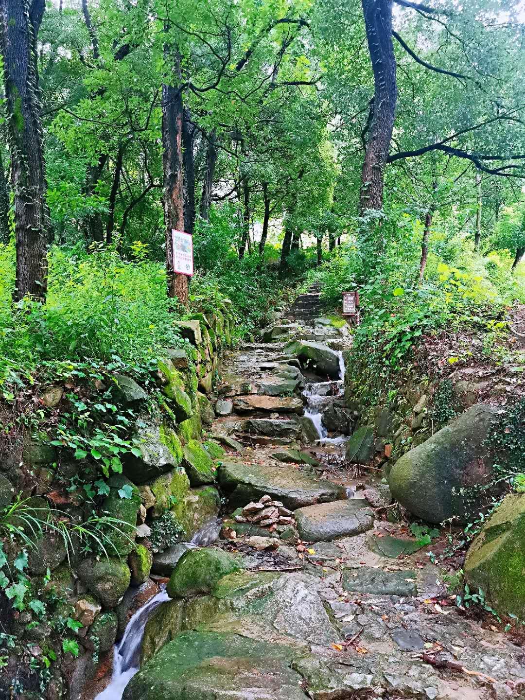 最新打野英雄排行榜，自然美景探险之旅与内心的平静之旅