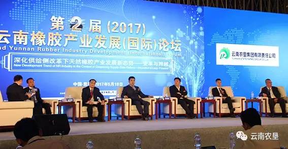 实达集团最新动态，心灵与自然的美景之旅