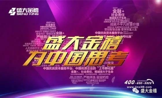 盛大金禧投资理财公司