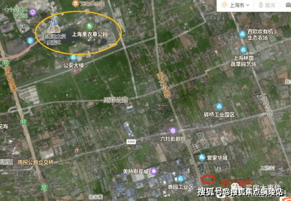 王林最新动态，深度解析与观点阐述